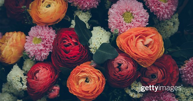 DigitalFizz's tweet photo. Getty Images is delighted to announce the new Getty Images Creative Bursary, to support the development of the... https://t.co/CsrcF8fQ9e https://t.co/bbMX3crPTJ