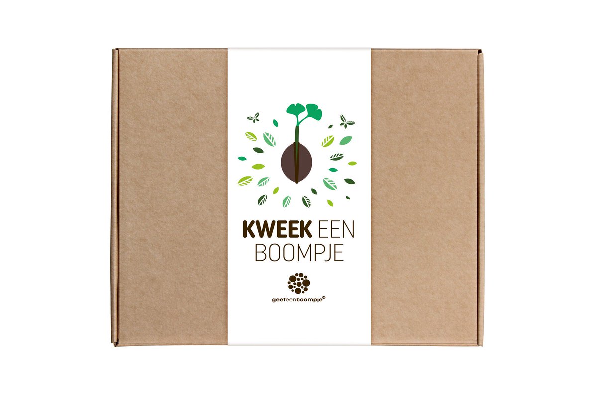 GeefeenBoompje's tweet photo. Een brievenbus boompje? Stuur relaties een gepersonaliseerd boomkweeksetje van de Ginkgo Biloba. #duurzaam, #relatiegeschenk #boom https://t.co/4PePYwoAZX