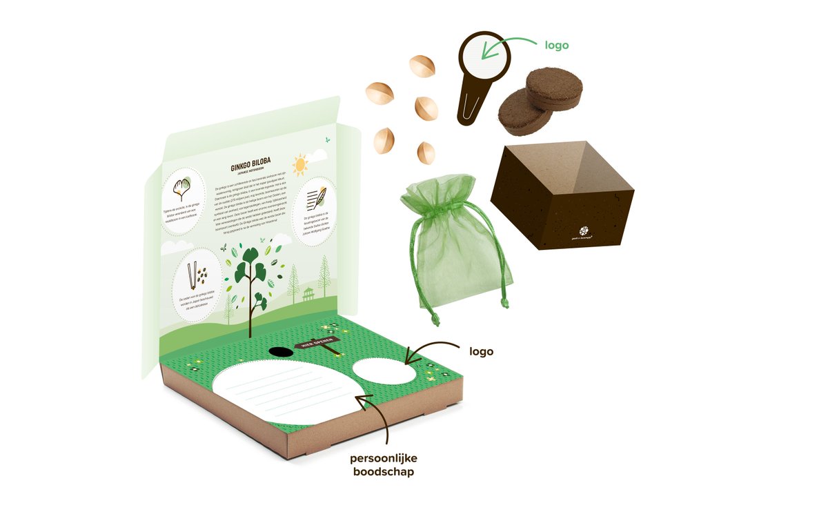 GeefeenBoompje's tweet photo. Een brievenbus boompje? Stuur relaties een gepersonaliseerd boomkweeksetje van de Ginkgo Biloba. #duurzaam, #relatiegeschenk #boom https://t.co/4PePYwoAZX