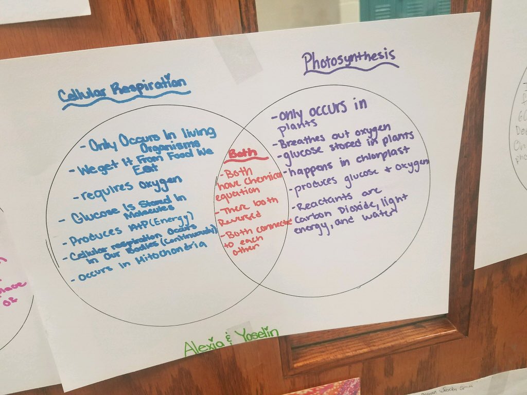 8th graders are able to compare &amp; contrast photosynthesis with cellular respiration with ease thanks to Ms Kovach <a href="/wsfcs/">WS/FC Schools</a>