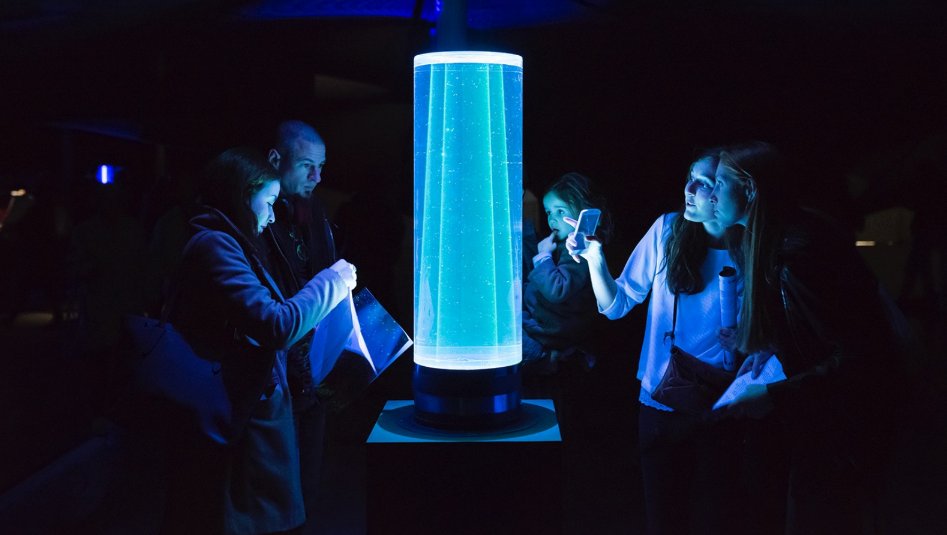 KIKK Festival tweet media