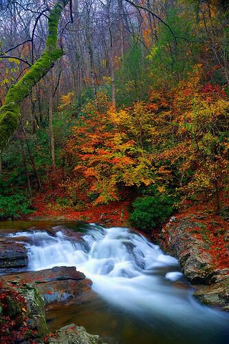 jbirdinga's tweet photo. Autumn in America
Laurel Creek Cascades
Great Smoky Mountains

Good Morning Patriots, have a wonderful day

#WeAreOne
#StandAsOne
#TNT🇺🇸🇬🇧 https://t.co/3wcIcl99mI