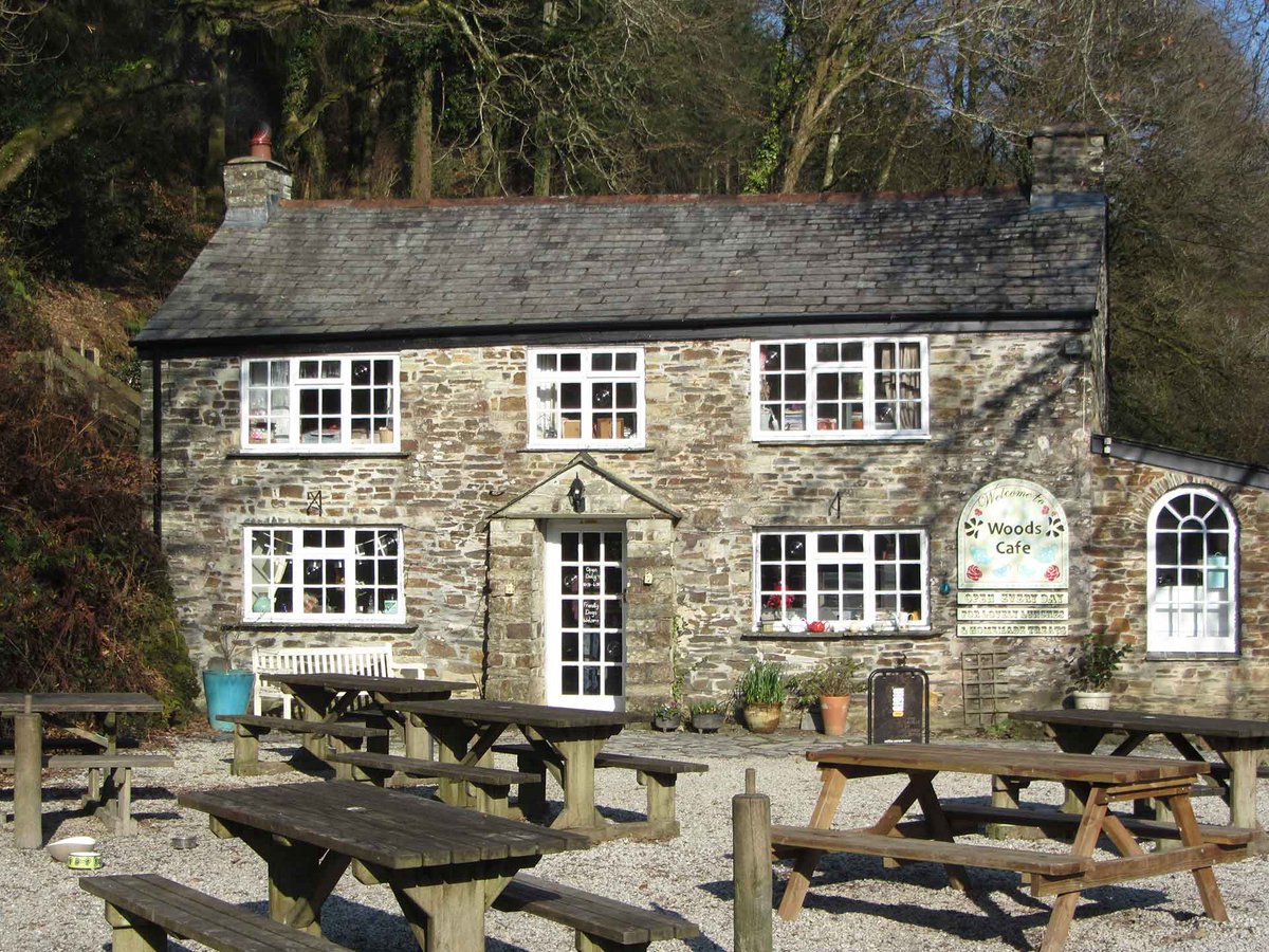 DoggyDaycareSW's tweet photo. On the blog this week: 5 Reasons to Visit the beautiful Cardinham Woods &amp; @woodscafekernow -> https://t.co/vtN1thsxQY https://t.co/ULOZK1cu3o