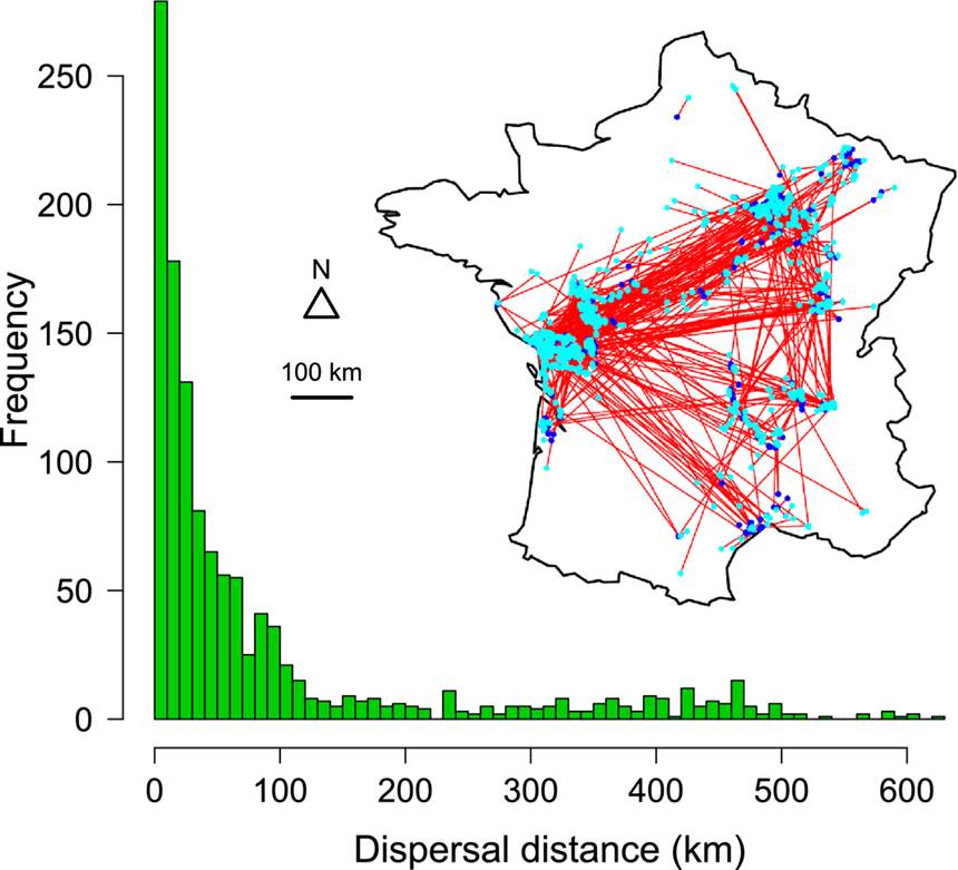 MethodsEcolEvol's tweet image. Estimating unbiased dispersal kernels accounting for #SpatialHeterogeneity in observation effort & border effect
bit.ly/2xTrxNq