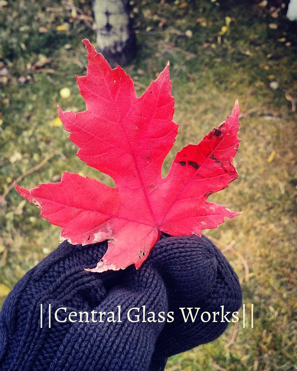 CGW2016's tweet photo. ||Proud To Be Canadian🍁||
#CGW #Yeg #SmallBiz 
》》☎ 780.800.6688
https://t.co/EN74qNkN1B https://t.co/EjfEbvR0Fp