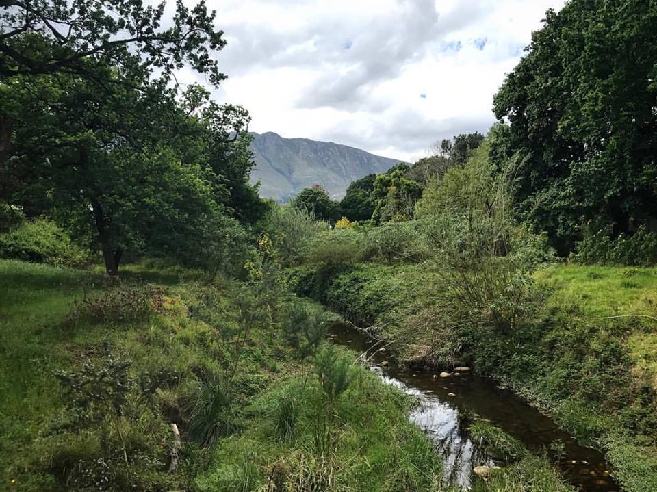 CottageCypress's tweet photo. The Koornlands river in Swellendam South Africa. @SACLMag @loveoverberg @capetraderoute https://t.co/GbXfwMtgjr