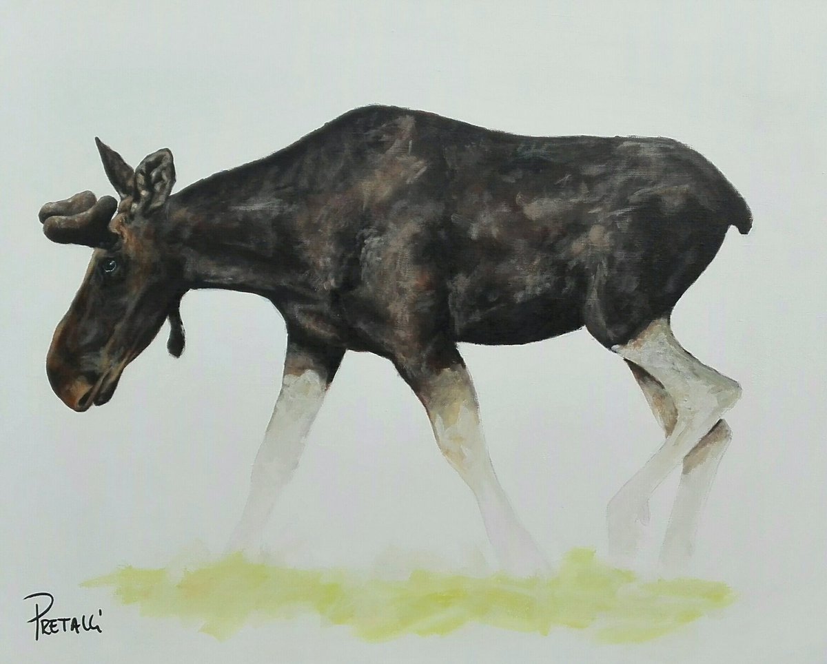 FranckPretalli's tweet photo. A découvrir 21 22 octobre #exposition Lions Club Grand Kursaal #Besançon #Doubs #art #artiste #artist #peinture #artwork #paint #moose https://t.co/kG7xO38bY6