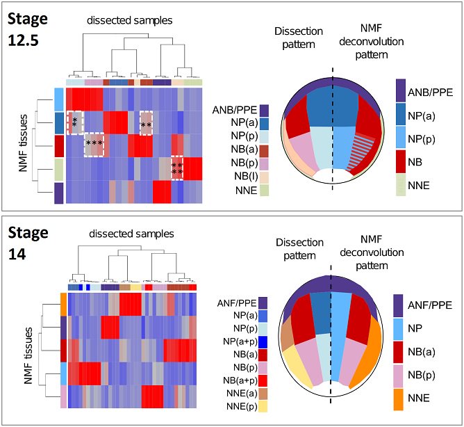 PLOS Biology tweet media