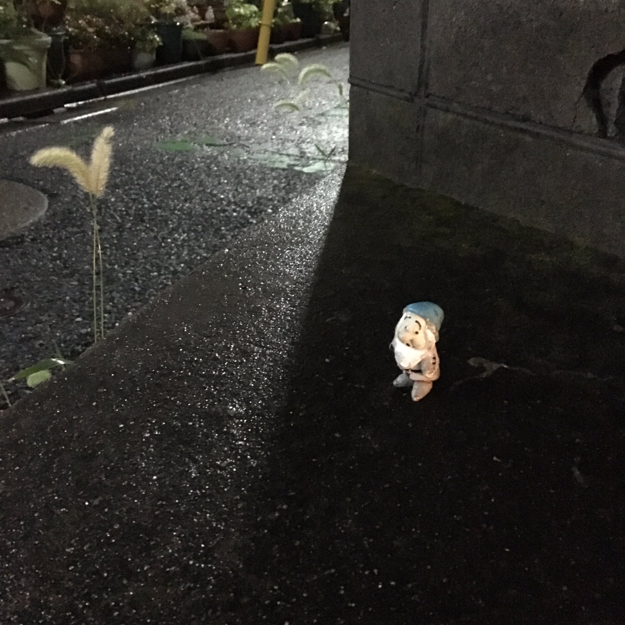 تويتر 中嶋秀人 على تويتر ついに小さいおじさんが見えるようになってしまったようだ T Co Qsw5dyiedc