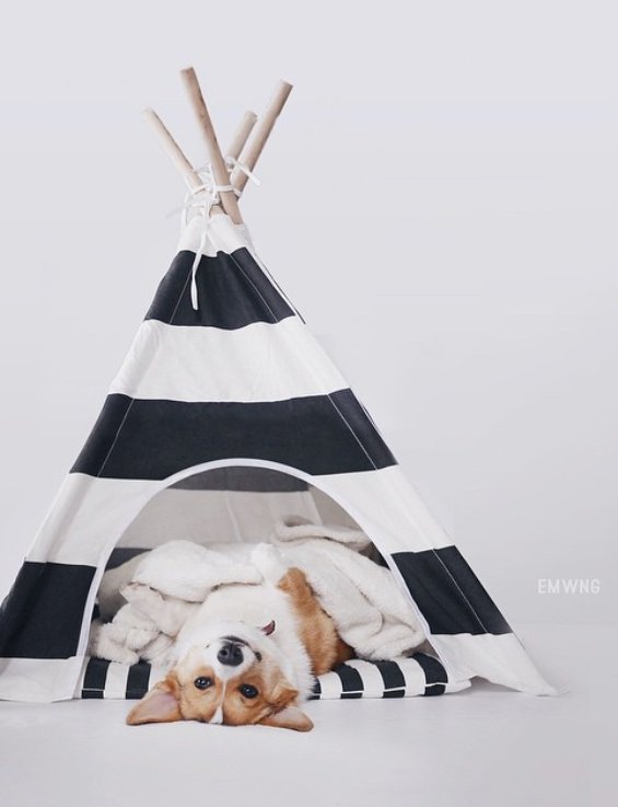 pipolli teepee