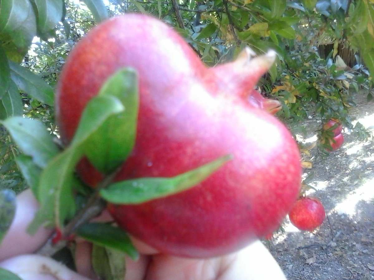 Σοφια Σκουπα (@skoupa2sofia) on Twitter photo 