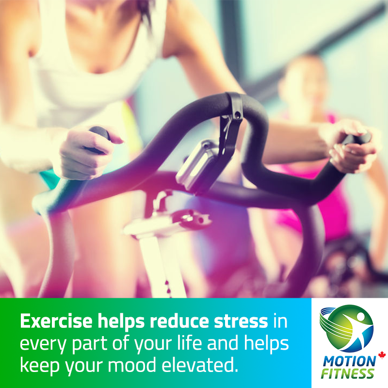 Movement melts away stress. #factfriday