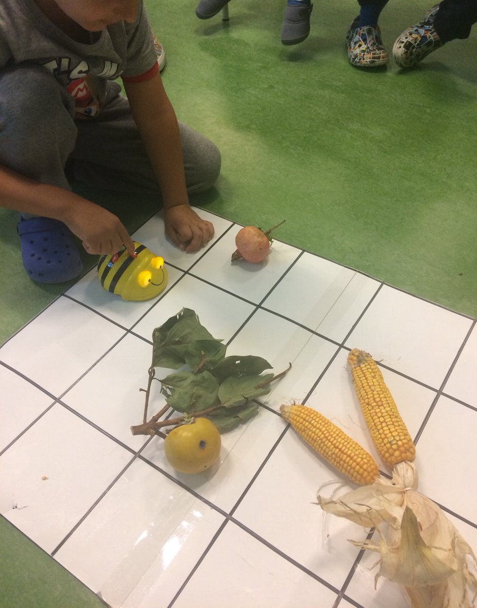 maternamagliano's tweet image. #codeweek2017 @ProgrammaFuturo Bee-bot ed i percorso dei frutti autunnali