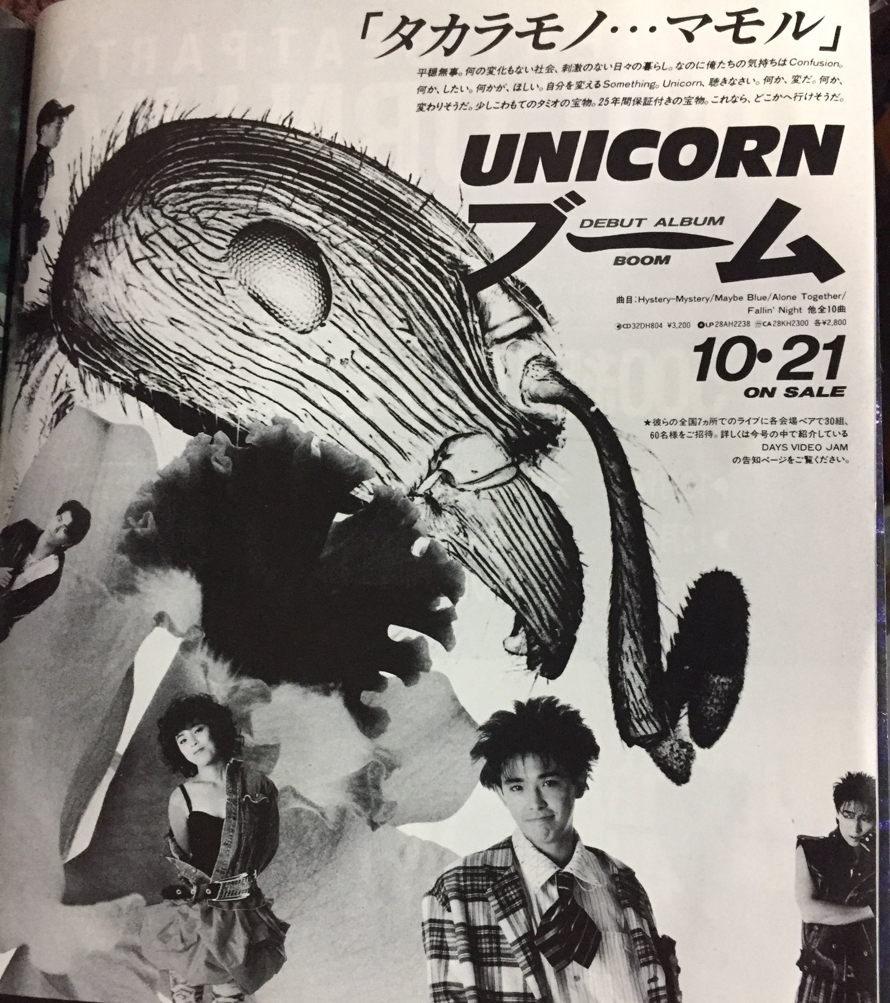 ユニコーン ‎– BOOM | 中古レコード通販・買取のアカル・レコーズ