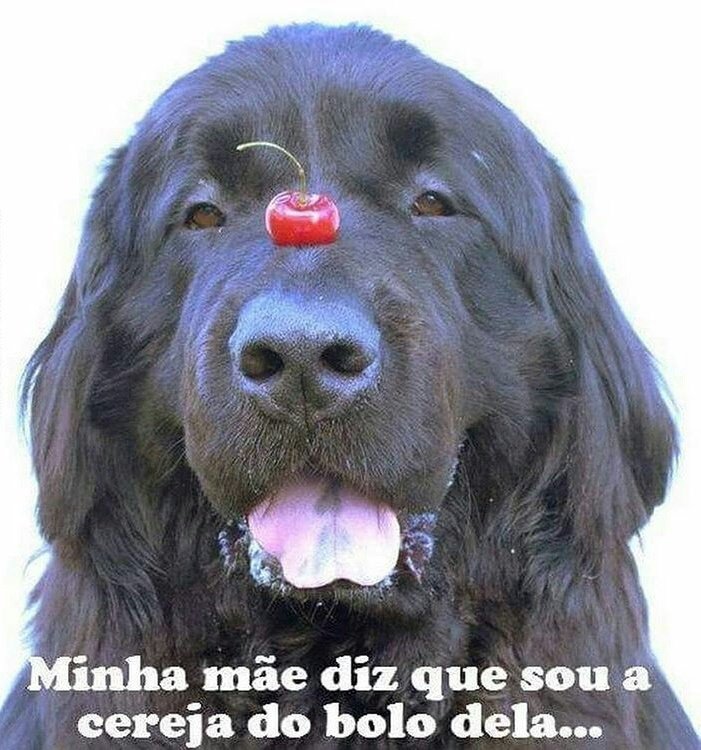 Juliana ♾ (@ju7909) on Twitter photo 