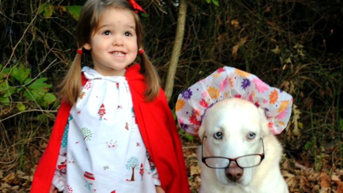 31 days of Halloween costume inspiration you need to check out now on.today.com/2ipfaSg