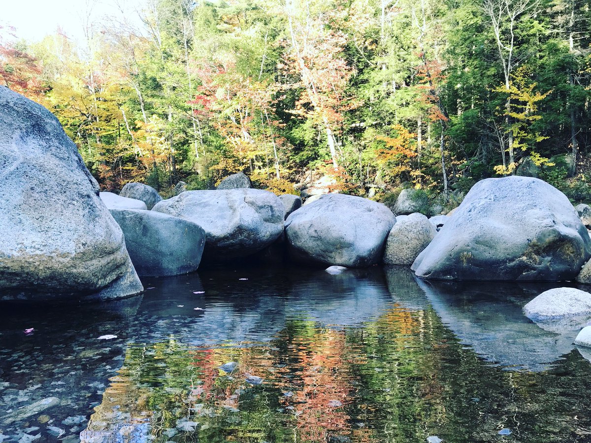 JadiannTV's tweet photo. Itβs #Friyay! Show me some of your fall pictures! @7News #newengland #fall https://t.co/S0F4AqDjrI