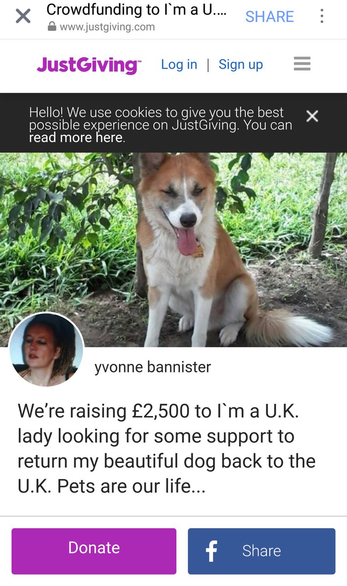Peppermintceo's tweet photo. Please kindly donate https://t.co/MAdXDbDqq7