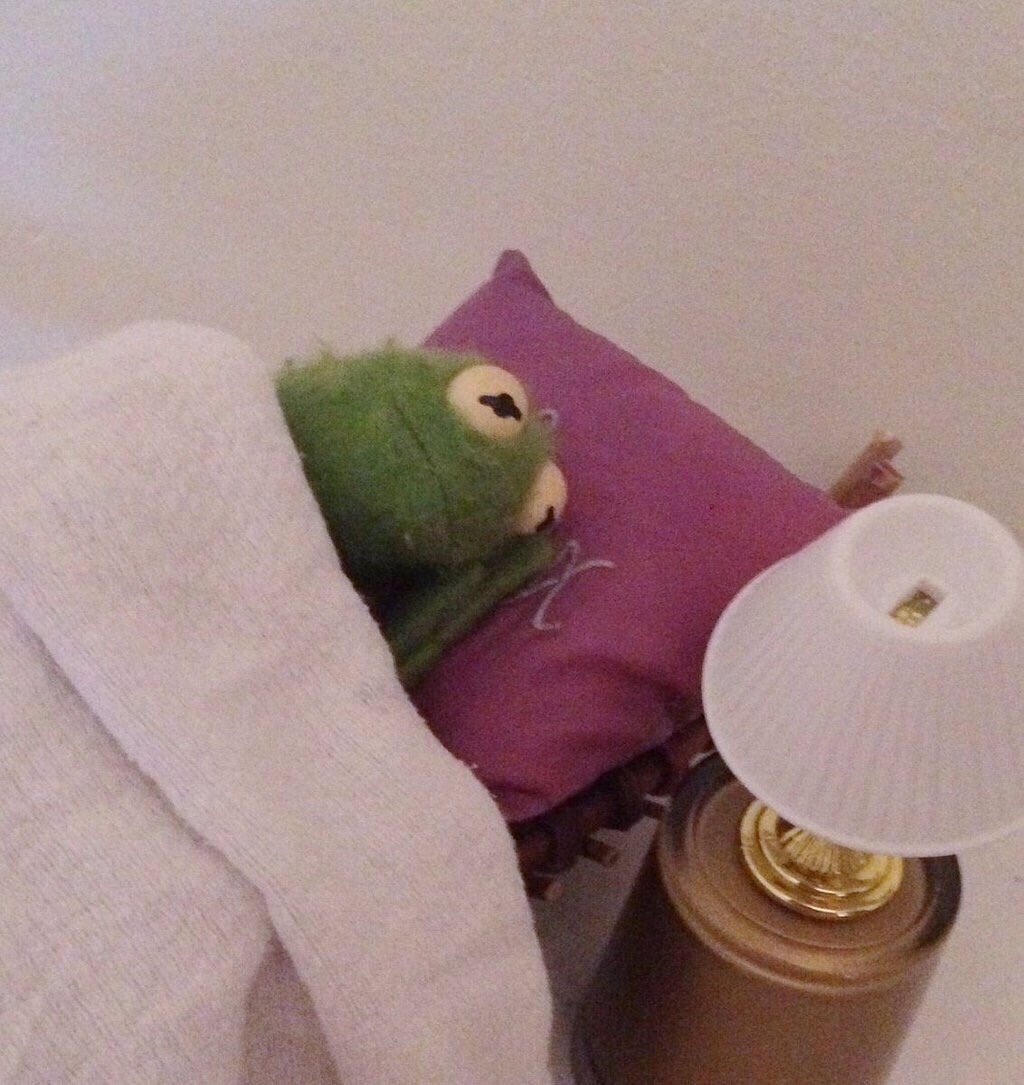 mingyundls's tweet photo. i’m so jealous of sojin she can use HAHAHA to sound happy while i’m stuck with my emo kermit memes. https://t.co/zEogJyQ7RR