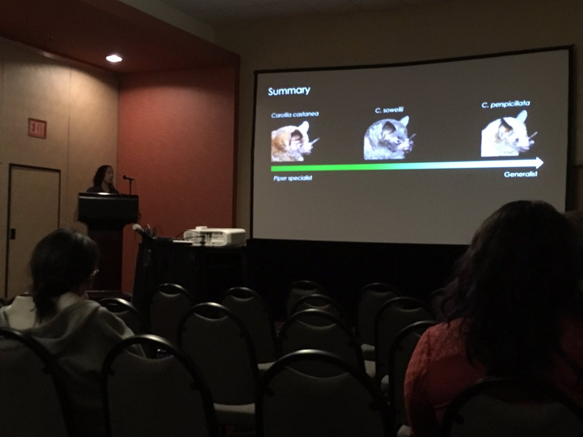 LeithLeiserMill's tweet photo. Sharlene presenting on the coevolution of Piper and Carollia, so exciting! @TheBatcave_SS #NASBR2017 https://t.co/bDqtdNeT2e