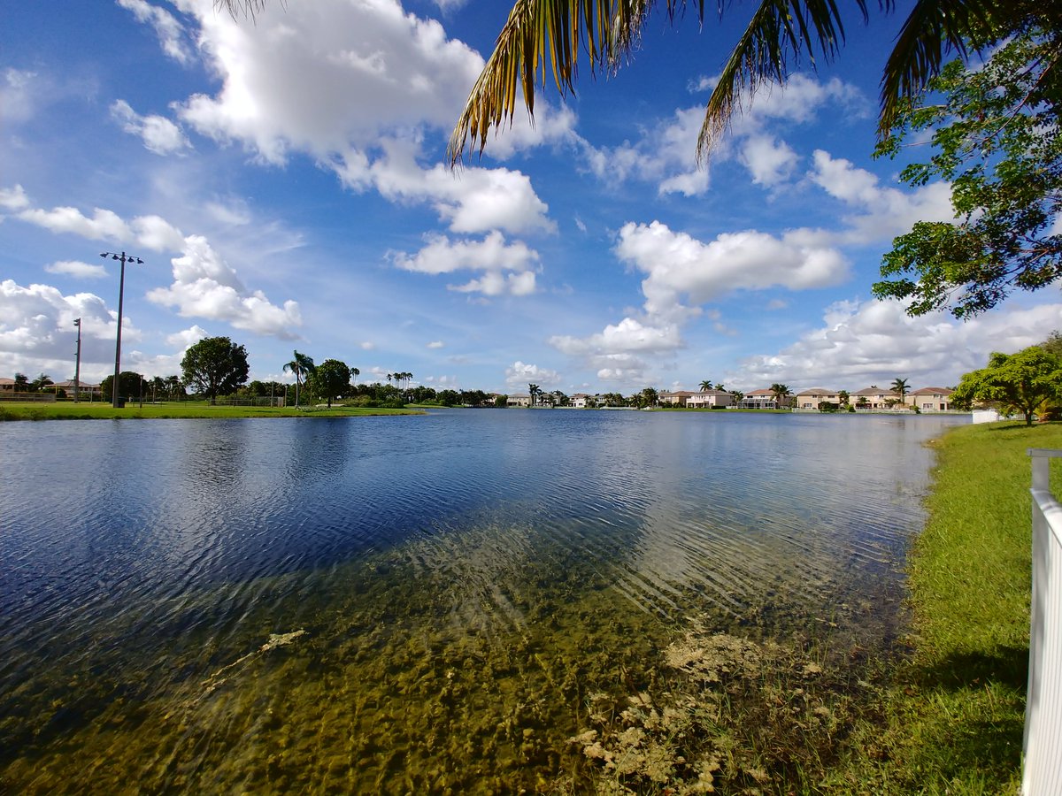 AndroidStud's tweet image. Loving this #LGV30 camera wow. #wideanglecamera and Regular #truth and #goodness