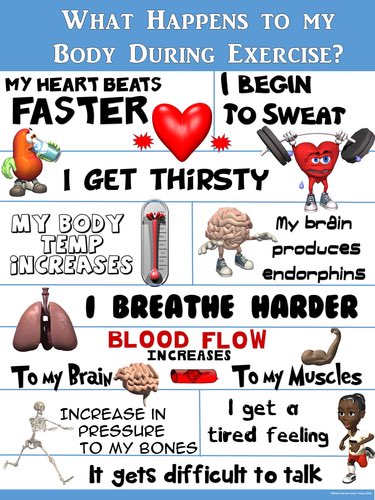 LMartinWPS's tweet photo. A great effort during our fitness lessons this week! Well done boys & girls! Send me a pic of your #active #PEhomework if you like! Ideas π https://t.co/a2xJn8VZo5