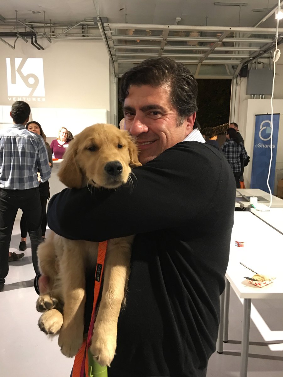 accomplio's tweet photo. Great @K9Ventures portfolio cos. @ #FriendsofK9; @ManuKumar just invested in #stellathjegolden here with @IAmDanCohen https://t.co/r7zfyDLQBP