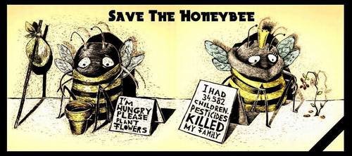 BeesMICCam's tweet photo. (c) Urban Gardeners Republic https://t.co/vNsfUB1Jcp