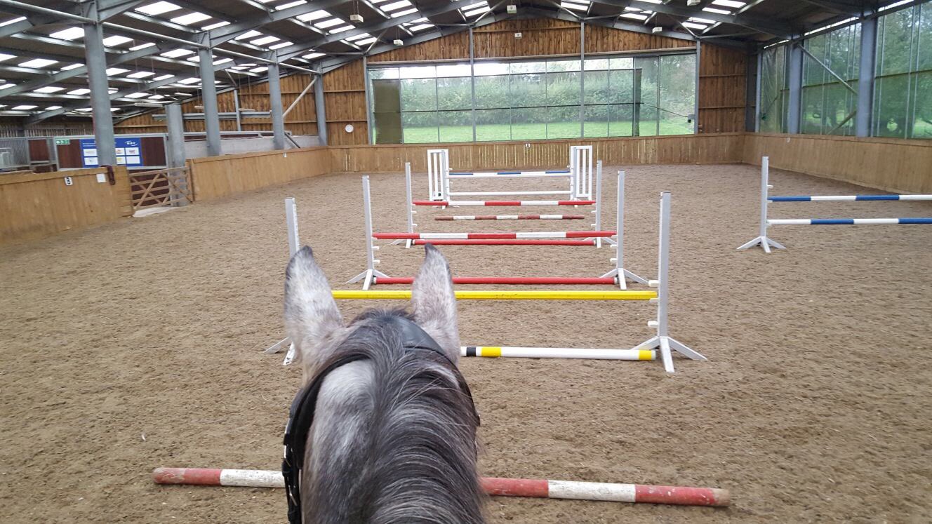 Andrew Hoy على تويتر It S Time For Some Grid Jumping Exercises Again Gymnastic Exercises Help The Horses To Improve Their Strength In Core Hindquarters Https T Co Pjkwvjghmb