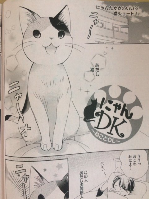 ★おしらせ★
遅ればせながら10/17に発売されたプチコミック増刊秋号に「にゃんDK」という猫ショートを掲載して頂いてます。ねこの悩める食事事情=^_^=どうぞよろしくお願いします! 