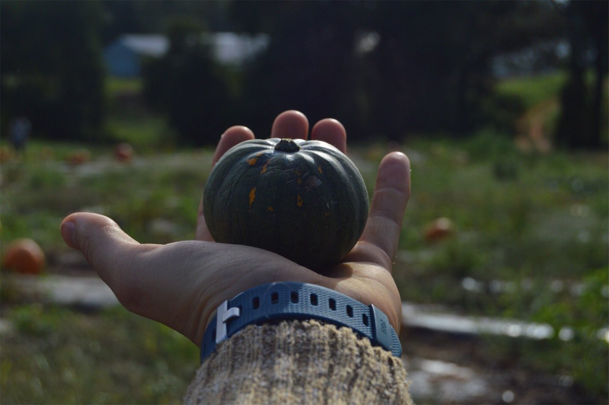 acaptureintime's tweet photo. Few joys compare to that of a pumpkin in your hands. Happy Autumn. 🍂 https://t.co/qwJ1QtlDlk