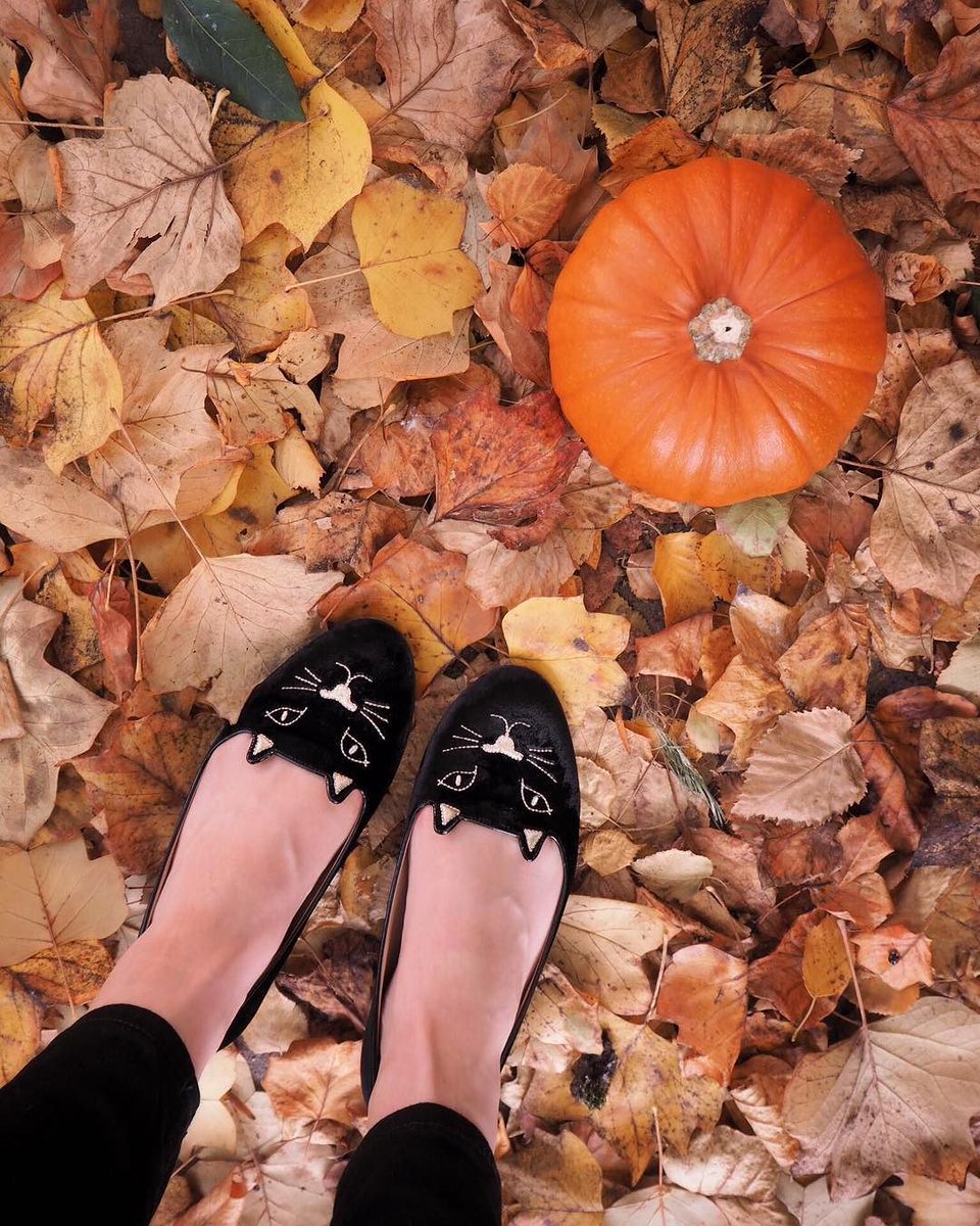 charlottes_web's tweet photo. Blogger @agirlastyle is ready for Halloween in her ’Kitty Flats’. Shop: https://t.co/n0jl4gBmnH #CaughtInCharlottesWeb https://t.co/s2jbosjN9I
