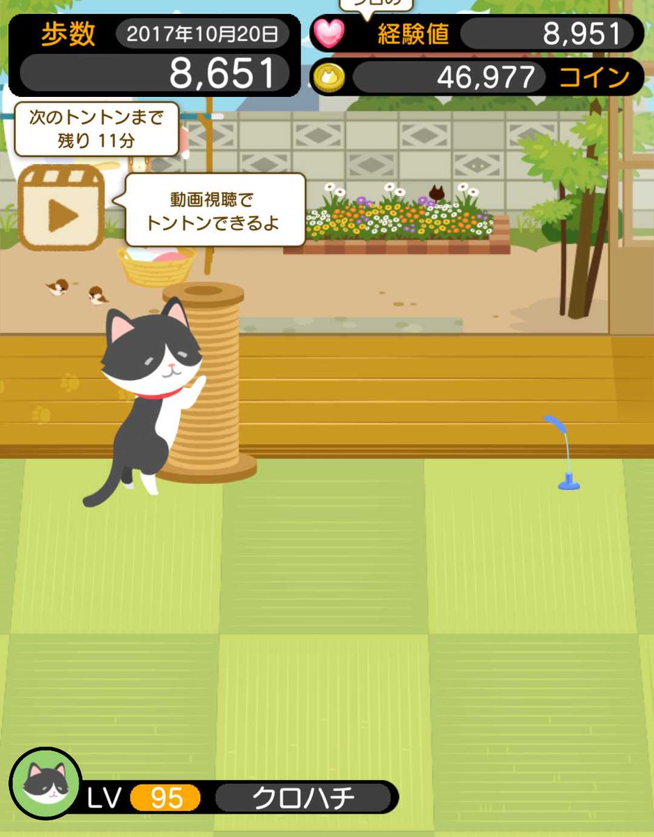 50 グレア 万歩計 ゲーム 育成 画像美しさランキング