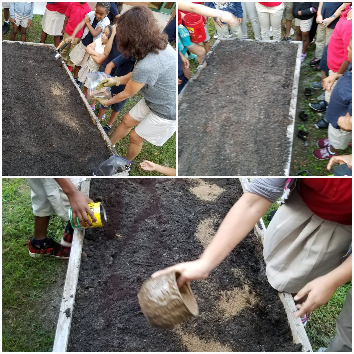 HCPS_Sullivan's tweet photo. Thank you Moonlight Garden Circle for helping us with our garden! #pizzagarden #SullivanStallions @HCPS_Sullivan https://t.co/eabZFmWRPJ