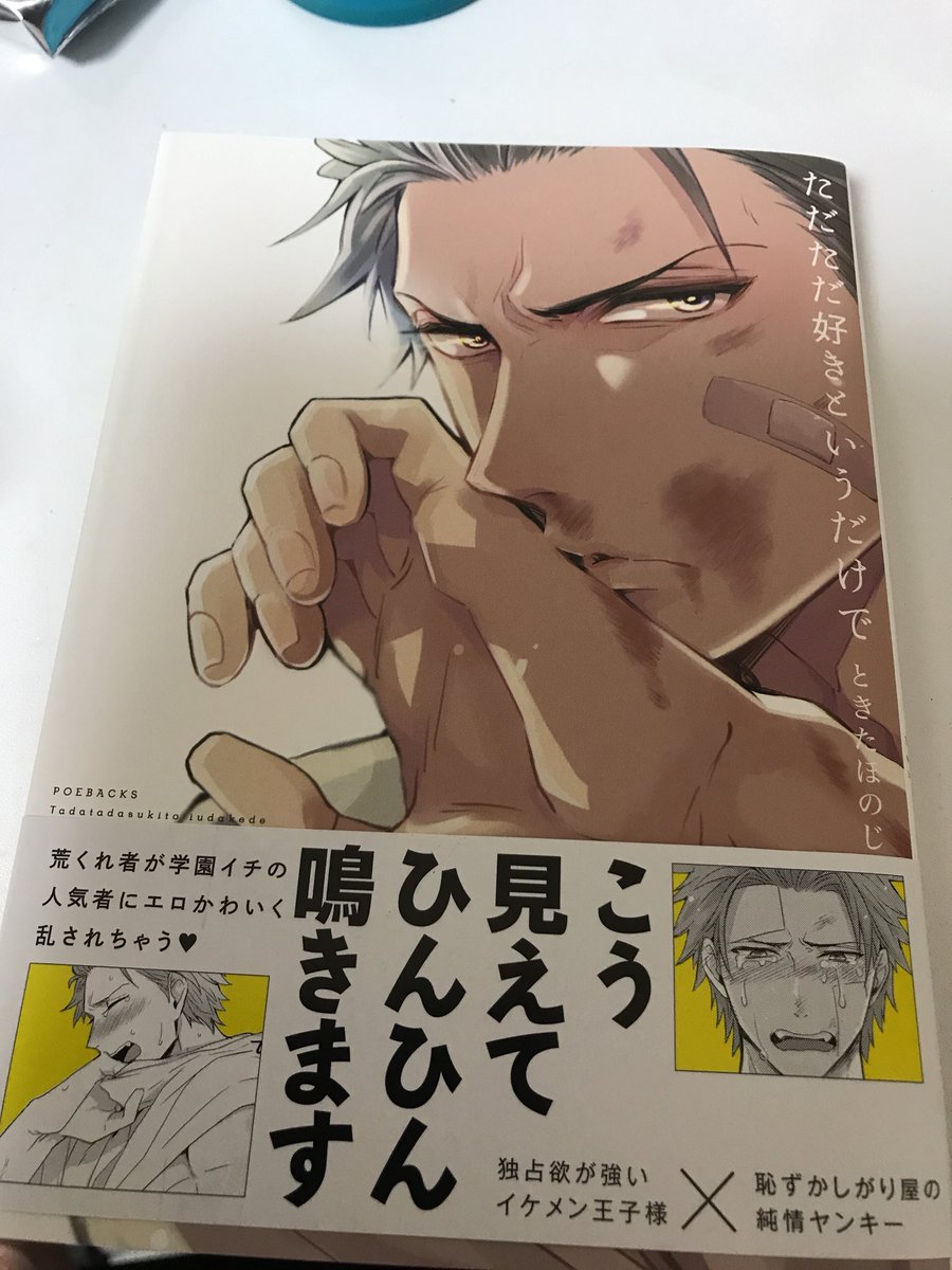 ろじぃ ただただ好きというだけで ときたほのじ イケメンとぴゅあヤンキー いい意味で想像通りのカップリング 泣き虫 ヤンキーは裏切らない