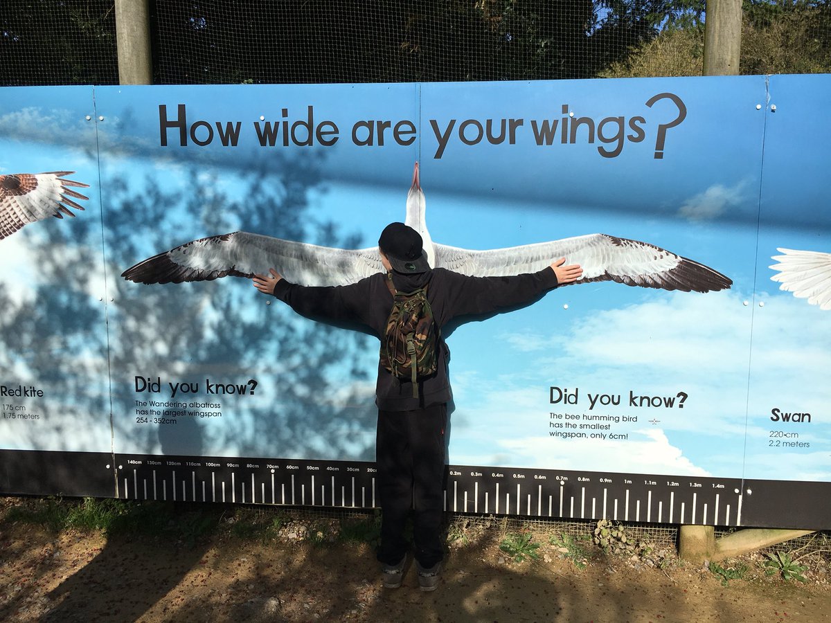 KGALordWilson's tweet photo. Awesome time @Marwellwildlife. Short trip on the road train then heading for home... @LWSAcademy #LWSCultureDay https://t.co/U597OP4Kq8
