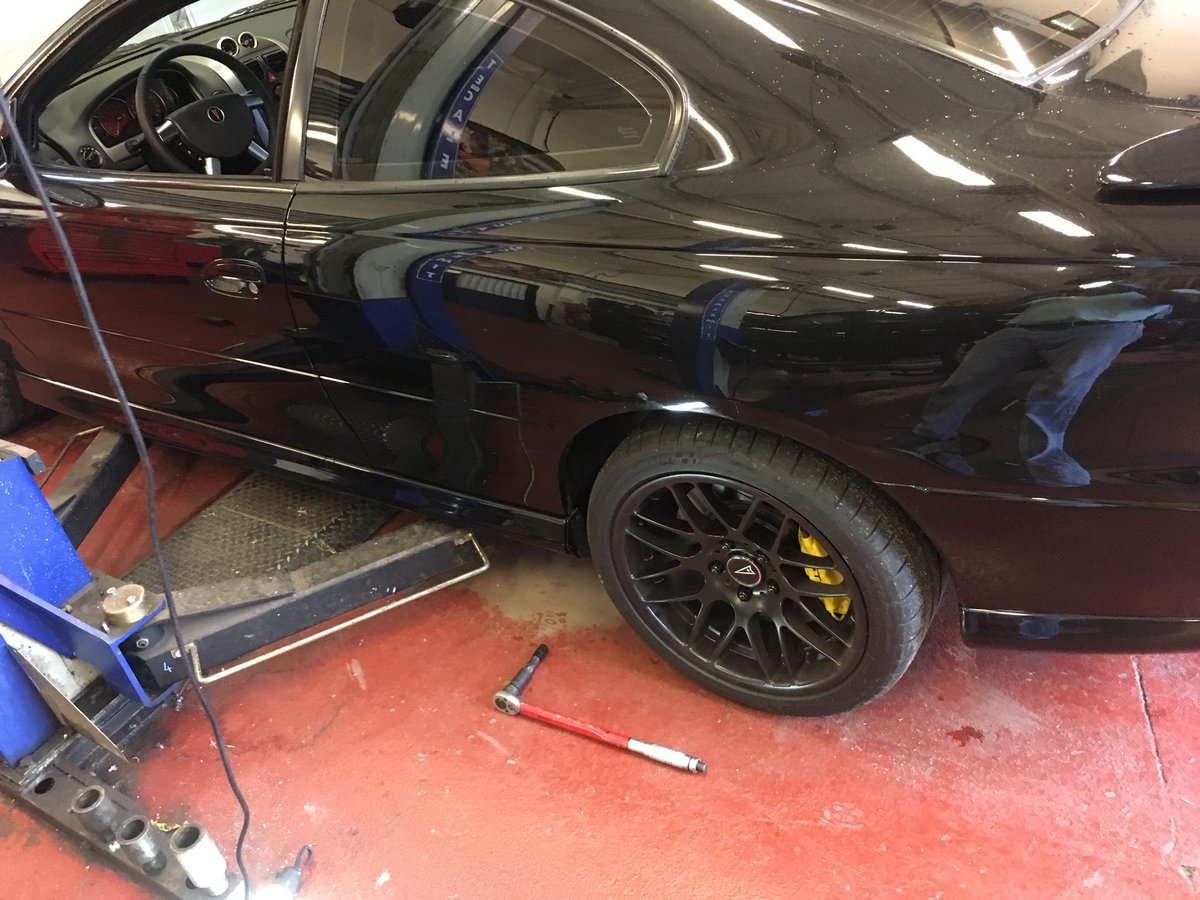GOAT_LeeLee's tweet photo. Getting her ready for MOT and next year 😁 https://t.co/CkCONEGTjM