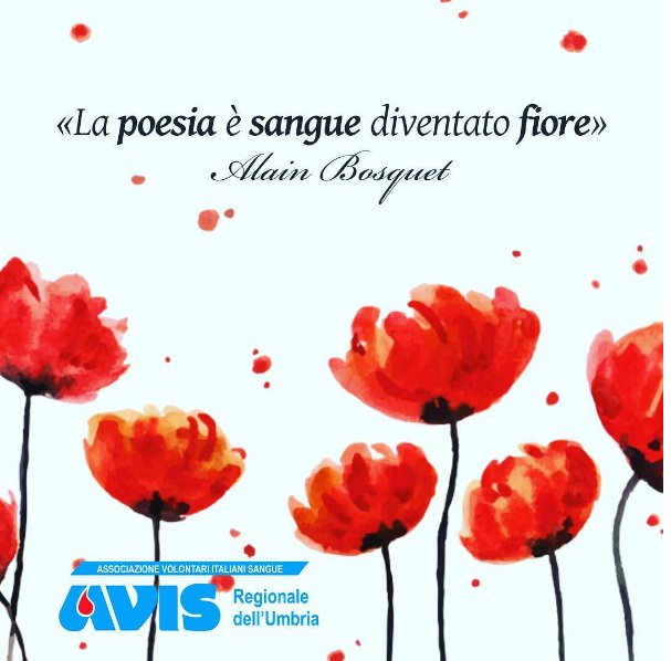 avis_umbria's tweet photo. https://t.co/wGUnArEkBR