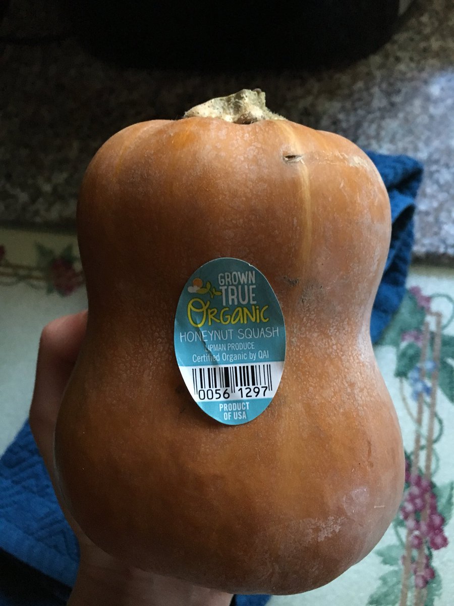 upbeetRD2be's tweet photo. Found this cute little squash at Trader Joe’s last night- any advice on the best way to cook if you’ve tried it? #inseasoneats #FSUcan https://t.co/Goi7gS0CXy