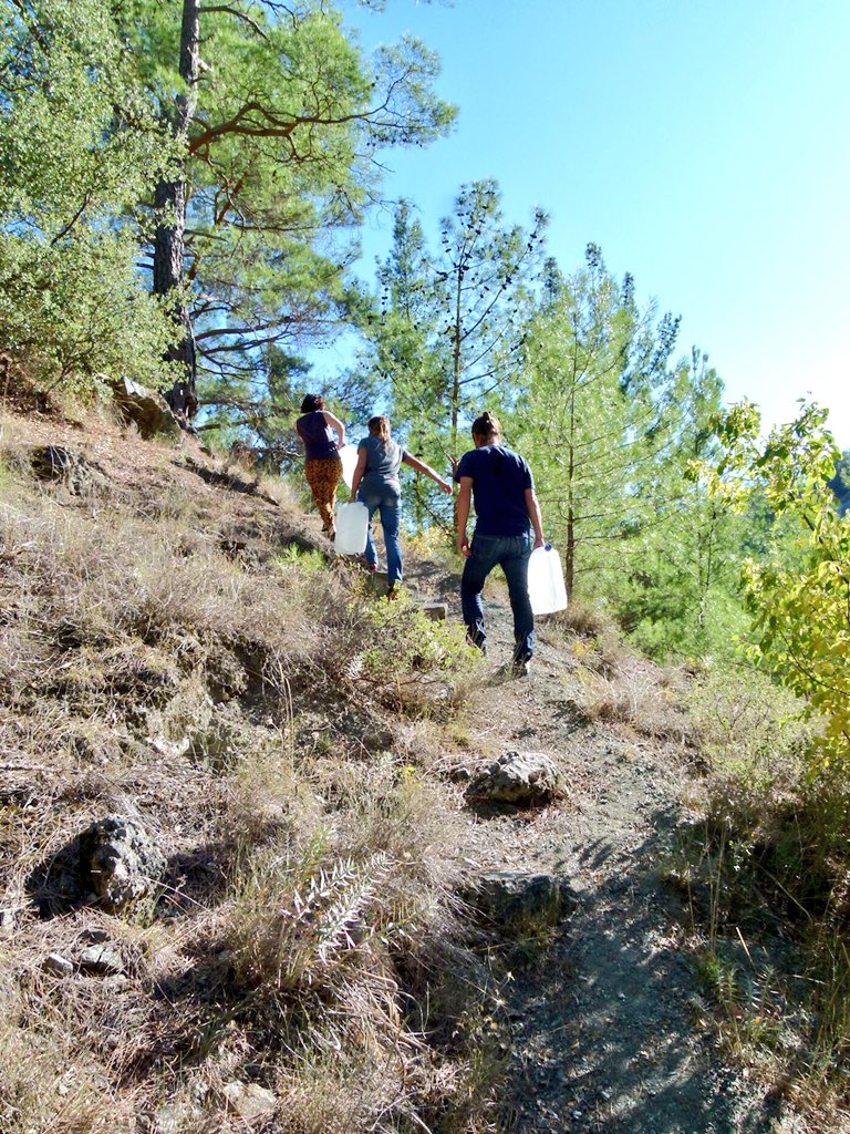 ALAKIRINSESi's tweet photo. Depo ve bidon getirdi can dostlar.
200 metre aşağıdaki Alakır nehrinden su taşıyorlar.
Destan yazılıyor Alakırda..
#HayratBirşey https://t.co/mbd3E6t6a7