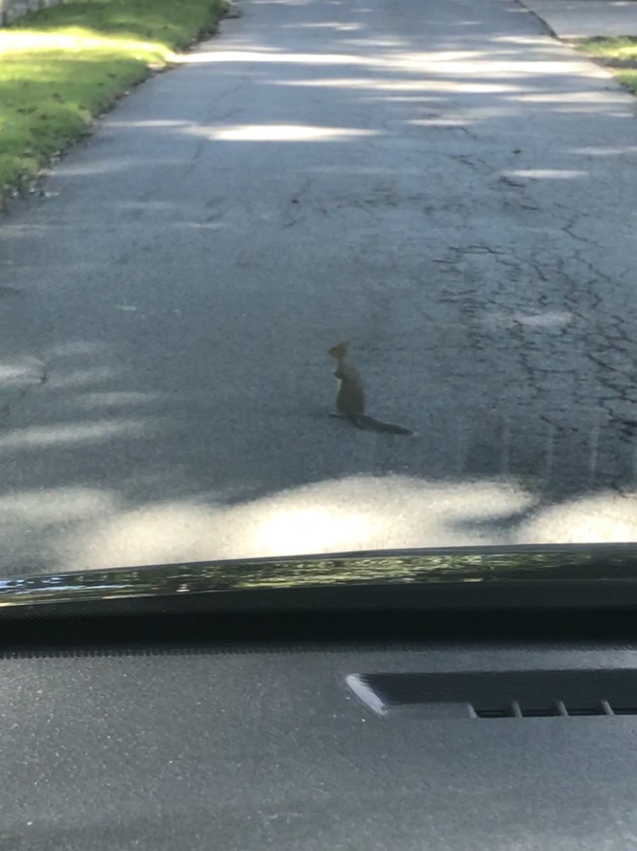 Heeey, Buddy...I’m sure the nut gathering season is stressful &amp; all, and this may be contemplative moment, but could you just scooch a bit..