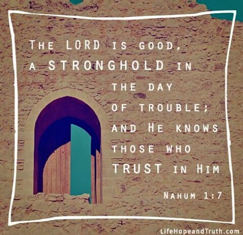 GGYFMinistry's tweet photo. God,
Thank You so much for Your Protection! You know full well what we need, even when we don't understand TheWait. IEMN I pray, IID. #GGYF https://t.co/Mg8biitUzM