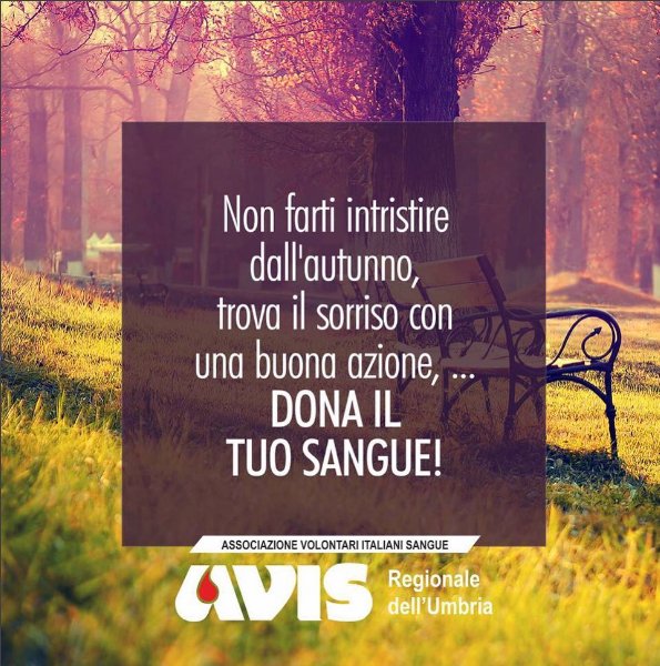 avis_umbria's tweet photo. #donareilsangue https://t.co/8ucxlMYjKq