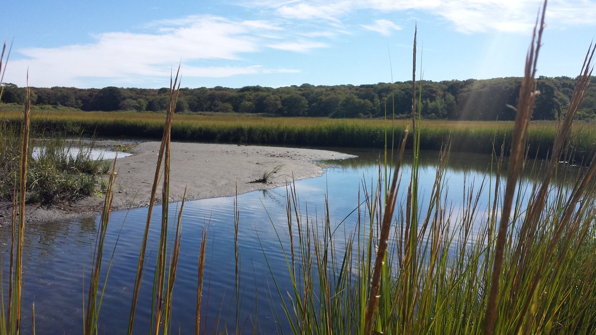 RhodeIslandDEM's tweet photo. Join us on DEM's FB page at 10:30a today for exciting news, learn about our work to address #climatechange   #NBNERR https://t.co/5YLpfzkBa0 https://t.co/ofet3puQkf