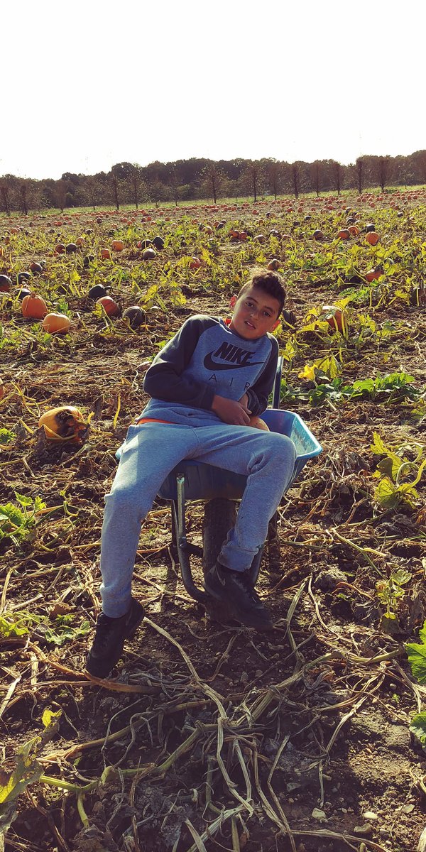LWS_Science's tweet photo. Pumpkin picking #LWSCultureDay https://t.co/SqmWcfh0bm