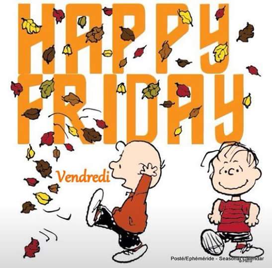 Mary_Zarifah's tweet photo. #Good_morning #Bonjour #Bonne_journée
#Happy_Friday #Happy_day #20October2017
#صباح_الخير🌸🌸 #صباح_السعادة🌸🌸
#بنت_المسيح https://t.co/sKgaK0Guhv
