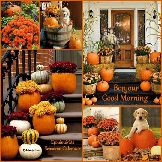 Mary_Zarifah's tweet photo. #Good_morning #Bonjour #Bonne_journée
#Happy_Friday #Happy_day #20October2017
#صباح_الخير🌸🌸 #صباح_السعادة🌸🌸
#بنت_المسيح https://t.co/sKgaK0Guhv