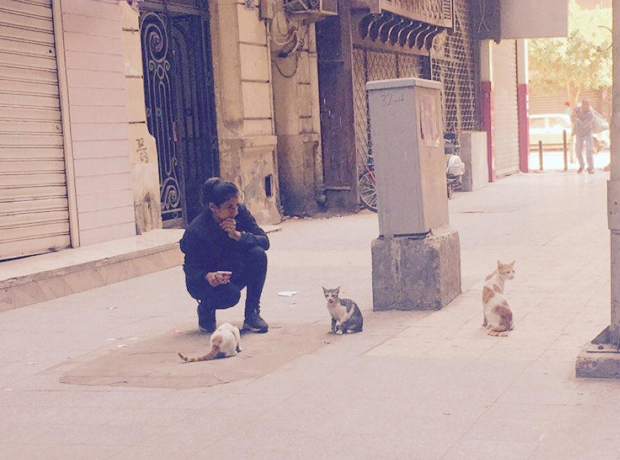 moonfull29's tweet photo. This morning caressed my soul and being. ❤️ #humansofcairo https://t.co/JQYlK6V95p