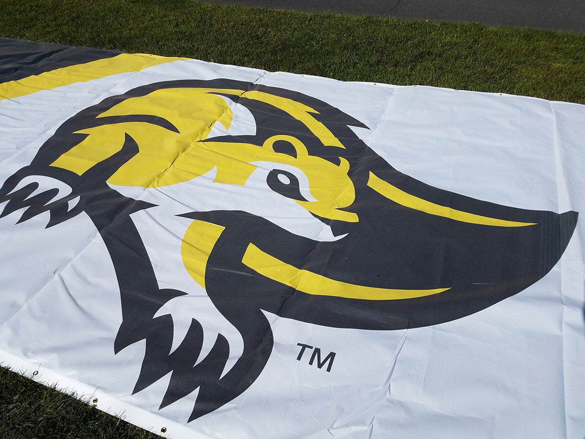MaryBaldwinU's tweet photo. #MBUOpenHouse is tomorrow! Here's a sneak peak of new things you'll see when you #VisitMBU. Home of the #FightingSquirrels. https://t.co/dpVvN9oG2k