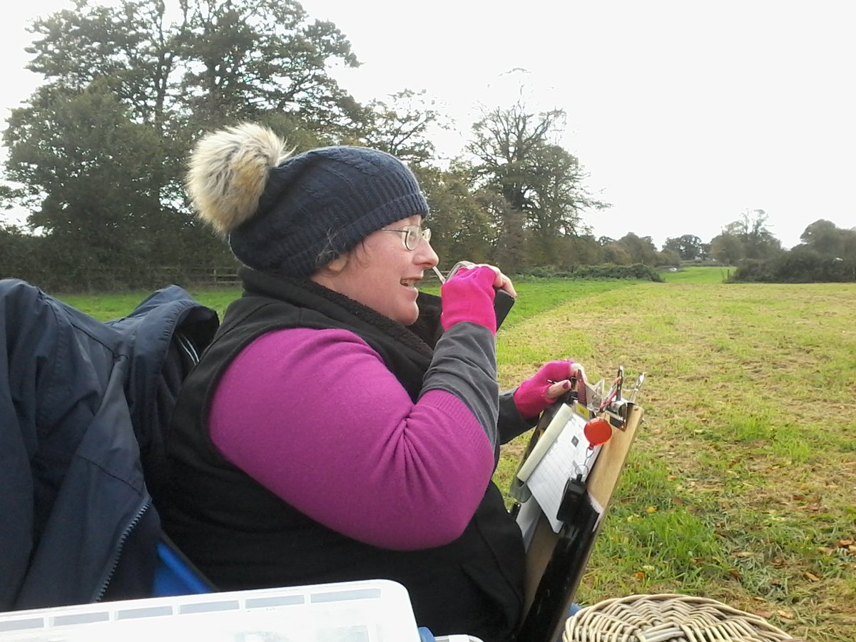 dolphinpix's tweet photo. Reporting horses. https://t.co/F1cPwHFIkH